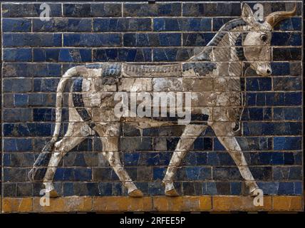 Taureau sacre - reliefs en briques emaillees provenant de la porte d'Ishtar - Babylone - 604-562 av.JC. - periode de Nabuchodonosor Musee Archeologique Istanbul - A bull, detail from glazed brick tiles depicting mythological animals that adorned the Processional Way to the Ishtar Gate in Babylon during the reign of Nebuchadnezzar II (604-562 BC). Babylonian civilization, 7th -6th century BC. Stock Photo