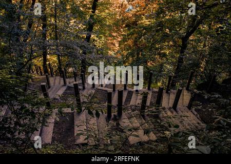 Stairway in the Woods - Autumn Colors on the Hills of Bled, Slovenia Stock Photo