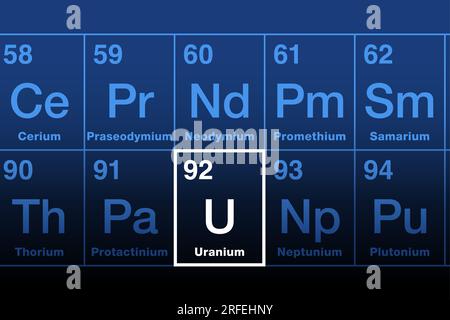 Uranium on periodic table of the elements in the actinide series. Radioactive metal with atomic number 92 and element symbol U, named after Uranus. Stock Photo