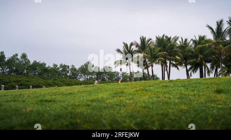 Scenic view of lush green lawns and palm trees at Shenzhen Bay Park, a popular seaside urban leisure destination in Shenzhen, China. Stock Photo