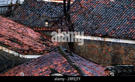 High angle view of traditional Chinese red and grey roof tiles on old village houses, featuring intricate textures and aged patterns. Stock Photo