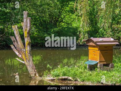 beehive, beehive at a pond, wildlife park Poing, Bavaria, Germany, Europe Stock Photo