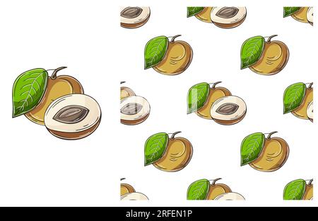 Longan. Seamless pattern with tropical fruits. Set in hand draw style. Can be used for fabric and etc Stock Vector