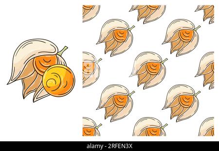 Physalis. Seamless pattern with tropical fruits. Set in hand draw style. Can be used for fabric Stock Vector