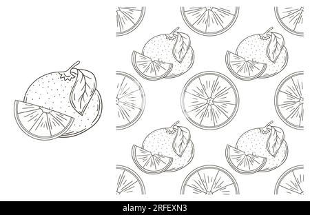 Coloring pattern for kitchen, restaurant or shop. Oranges. Set in hand draw style Stock Vector