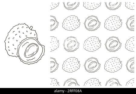 Litchi. Coloring pattern for kitchen, restaurant or shop. Set in hand draw style Stock Vector