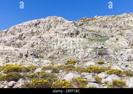 Spain, Castile and Leon, Hoyos del Espino, the Sierra de Gredos, Laguna Grande trek Stock Photo
