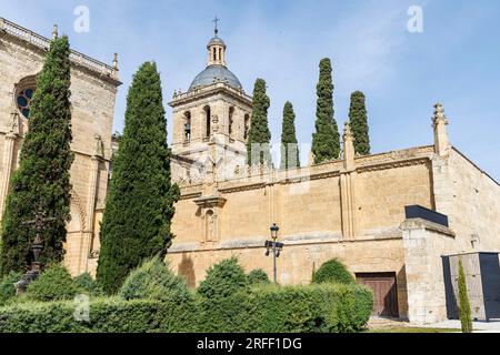 Spain, Castile and Leon, Ciudad Rodrigo, Santa Maria cathedral Stock Photo