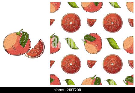 Grapefruit, red orange. Seamless pattern with tropical fruits. Set in hand draw style. Can be used for fabric and etc Stock Vector