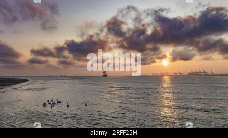 France, Calvados, Honfleur, Armada 2023, Grand Parade, four-masted schooner Santa Maria Manuela leaves the bay of the Seine river in the setting sun, Le Havre harbour in the background Stock Photo