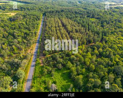 France, Loiret, Sologne, Viglain, ponds (aerial view) Stock Photo