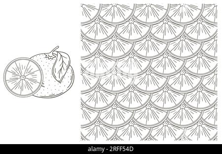 Coloring pattern for kitchen, restaurant or shop. Set in hand draw style. Oranges Stock Vector