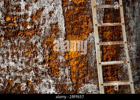 United States, Louisiana, Dulac, warehouses and houses destroyed by the October 2021 hurricane Stock Photo