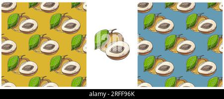 Seamless pattern with tropical fruits. Color Set in hand draw style. Longan. Can be used for fabric, packaging and etc Stock Vector