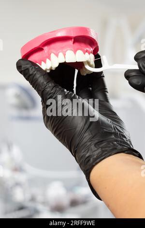Dentist with floss toothpick and layout of the human jaw Stock Photo ...