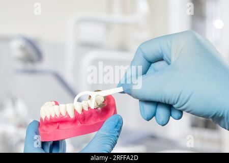 Dentist with floss toothpick and layout of the human jaw Stock Photo ...
