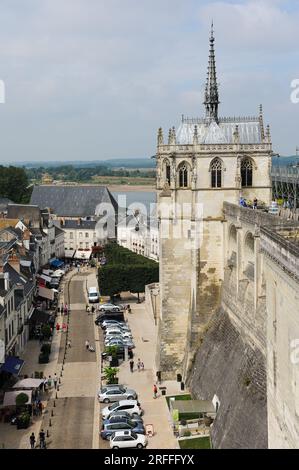 Amboise, France - 8 August, 2013: A big conifer tree in the gardens of ...