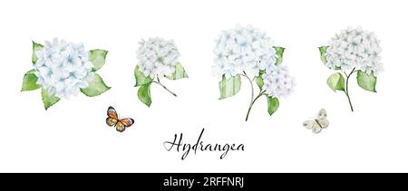 Set of beautiful watercolor floral bouquets with white hydrangea flowers, branches leaves, and butterflies, watercolor painting. Vector isolated on wh Stock Vector