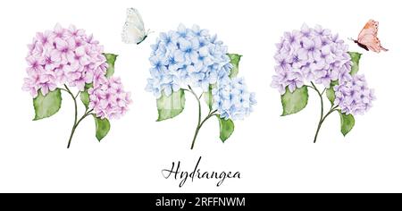 Set of beautiful watercolor floral bouquets with hydrangea flowers, branches leaves, and butterflies, watercolor painting. Vector isolated on white ba Stock Vector