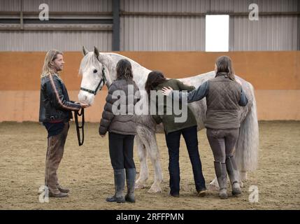 Rupert Isaacson who uses 'horse therapies' to help treat autistic children. Pictured at the Conquest Equestrian Centre near Taunton where he teaches t Stock Photo