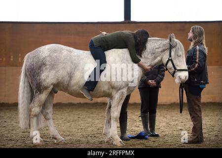 Rupert Isaacson who uses 'horse therapies' to help treat autistic children. Pictured at the Conquest Equestrian Centre near Taunton where he teaches t Stock Photo