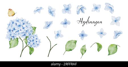 Set of blossom and leaf elements of watercolor blue hydrangea bouquet and butterfly, watercolor painting. Vector isolated on white background. Stock Vector