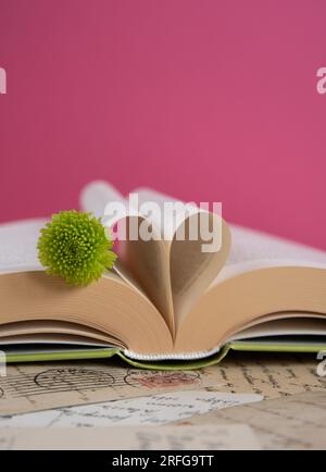 Green santini flower laying on opened book with heart shaped book pages on a pink background, romantic book scene Stock Photo