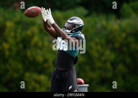 Indianapolis Colts cornerback Dallis Flowers (33) in action against the  Philadelphia Eagles during an NFL pre-season football game, Thursday, Aug.  24, 2023, in Philadelphia. (AP Photo/Rich Schultz Stock Photo - Alamy