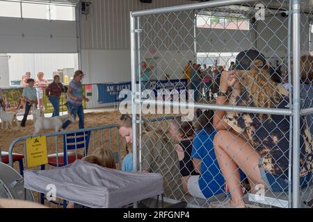 Spectators enjoy watching a goat competition at the 2023 Delaware State Fair in Harrington, Delaware, USA. Stock Photo