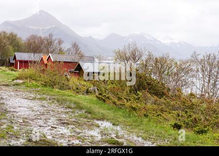 Red wooden houses on Fore beach on a rainy day. In the background snowy mountains in clouds. Hornneset, Reipå, Meløy, Nordland, Northern Norway Stock Photo
