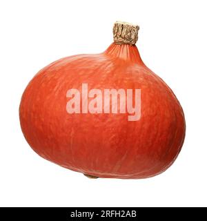 red kuri squash isolated on white background Stock Photo - Alamy