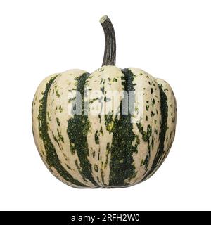 Sweet Dumpling Squash Isolated on White Background Stock Photo