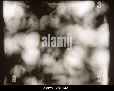 The shadow of the foliage on a white wall casted by the sun of the morning, in a farmhouse in the eastern Andes mountains of central Colombia. Stock Photo