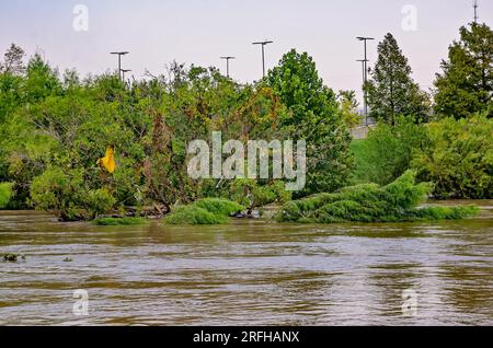 Buffalo Bayou Park is flooded after Hurricane Harvey, Sept. 4, 2017, in Houston, Texas. Stock Photo