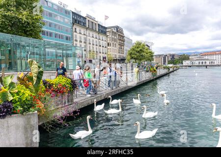 Riverside promenade (Promenade du Lac), Quai du Général-Guisan, Geneva (Genève) Canton of Geneva, Switzerland Stock Photo