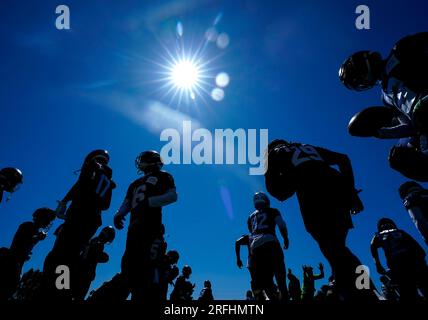 Seattle Seahawks running back SaRodorick Thompson Jr. (29) runs with the  ball during an NFL pre-season football game against the Minnesota Vikings,  Thursday, Aug. 10, 2023 in Seattle. (AP Photo/Ben VanHouten Stock