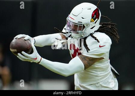 Arizona Cardinals cornerback Antonio Hamilton Sr. (33) lines up during an  NFL pre-season game against the Denver Broncos, Friday, Aug. 11, 2023, in  Glendale, Ariz. (AP Photo/Rick Scuteri Stock Photo - Alamy