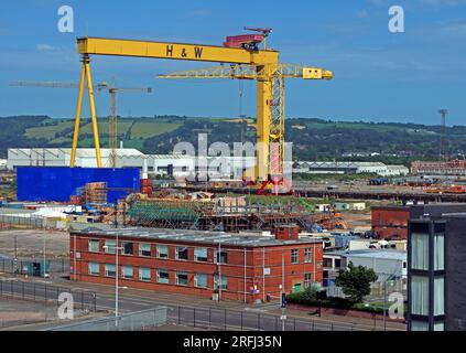 Harland and Wolff yellow cranes, in shipyard, Samson & Goliath, Queen's Island, Belfast , Northern Ireland, UK, BT3 9EU Stock Photo