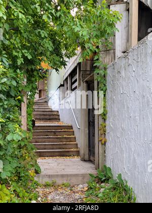 Outdoor alley stairway covered with green tree, ivy, and autumn leaves Stock Photo