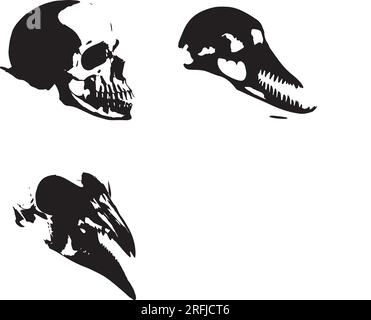 Silhouette Head Skull illustration Stock Vector
