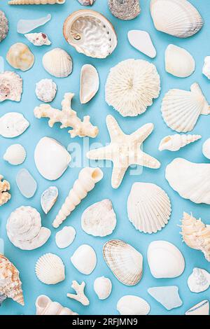 Maritime summery pattern. Seashells, starfish, coral various beach finding layout. Stock Photo