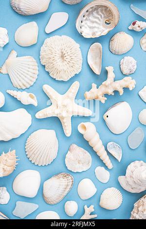 Maritime summery pattern. Seashells, starfish, coral various beach finding layout. Stock Photo