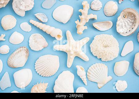 Maritime summery pattern. Seashells, starfish, coral various beach finding layout. Stock Photo
