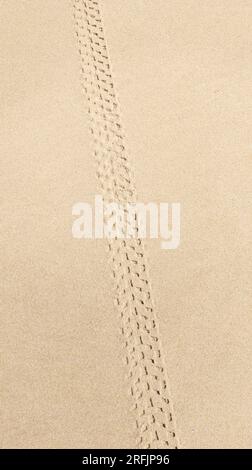 Sand tyre mark background bike tracks tire print bicycle track shape lines on dry brown sandy Stock Photo