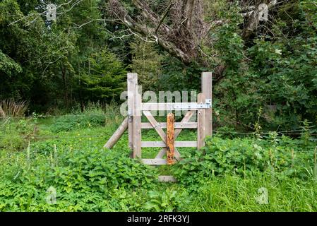 Wooden gate with private carved on it and barbed wire fence, overgrown in the English countryside. Stock Photo