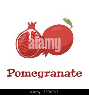 Pomegranate Hand drawn Vector illustration. Pomegranate whole fruit and half sliced. Stock Vector