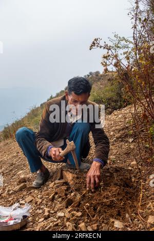Oct.14th 2022 Uttarakhand, India.Indian farmer using a pickaxe to dig soil in the Garhwal Himalayan region of Uttarakhand. Traditional agriculture in Stock Photo