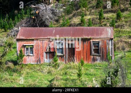 Derelict house, near Whangamomona, North Island, New Zealand Stock Photo