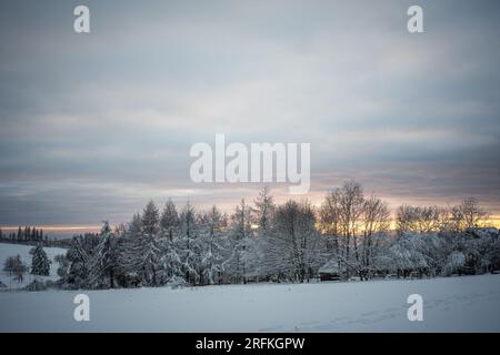 Winterbaum / Winterlandschaft /Abendhimmel / Sonnenuntergang am Hoherodskopf im Vogelsberg Hessen Stock Photo