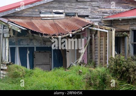 Abandoned house, Cape Egmont, Taranaki, North Island, New Zealand Stock Photo